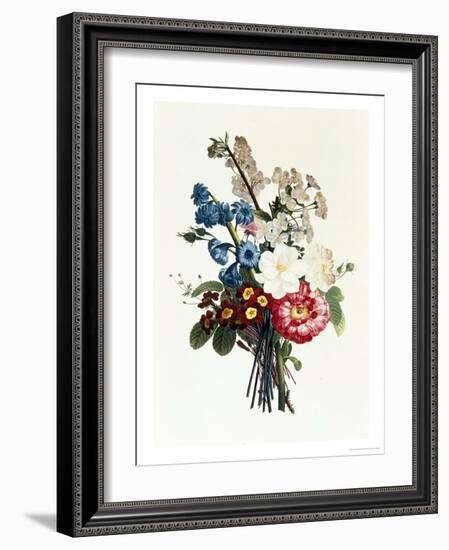 Bouquet of Camellia and Auricula-Jean Louis Prevost-Framed Giclee Print