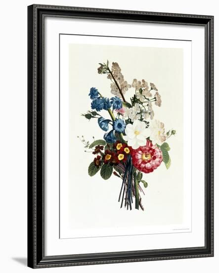 Bouquet of Camellia and Auricula-Jean Louis Prevost-Framed Giclee Print