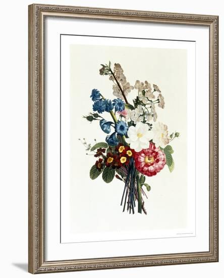 Bouquet of Camellia and Auricula-Jean Louis Prevost-Framed Giclee Print