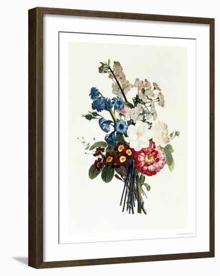 Bouquet of Camellia and Auricula-Jean Louis Prevost-Framed Giclee Print