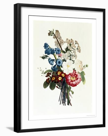 Bouquet of Camellia and Auricula-Jean Louis Prevost-Framed Giclee Print