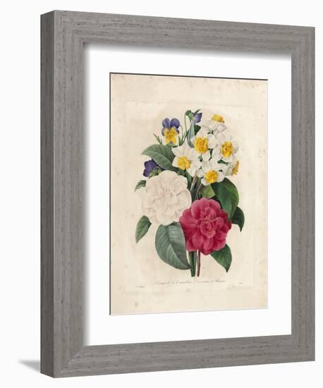 Bouquet of Camellias-Pierre-Joseph Redouté-Framed Giclee Print