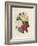 Bouquet of Camellias-Pierre-Joseph Redouté-Framed Giclee Print