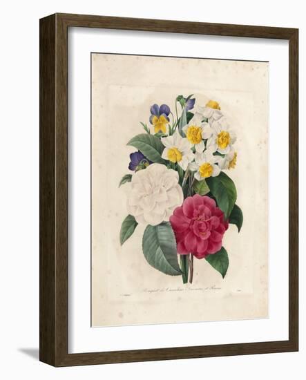 Bouquet of Camellias-Pierre-Joseph Redouté-Framed Giclee Print