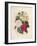 Bouquet of Camellias-Pierre-Joseph Redouté-Framed Giclee Print