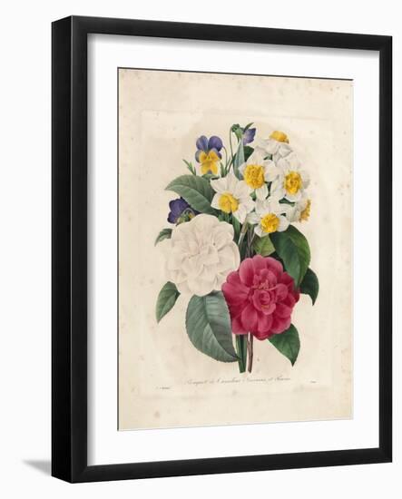 Bouquet of Camellias-Pierre-Joseph Redouté-Framed Giclee Print