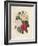 Bouquet of Camellias-Pierre-Joseph Redouté-Framed Giclee Print