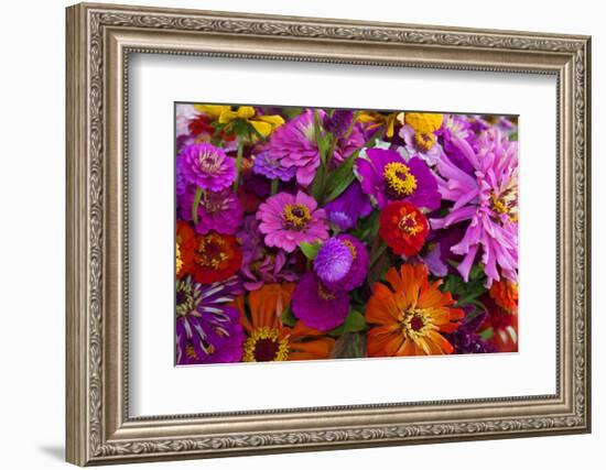 Bouquet of Colorful at a Farmers' Market, Savannah, Georgia, USA-Joanne Wells-Framed Photographic Print