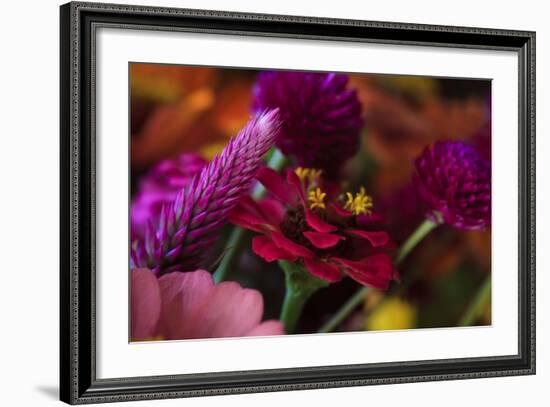 Bouquet of Colorful Flowers at a Farmers' Market, Savannah, Georgia, USA-Joanne Wells-Framed Photographic Print