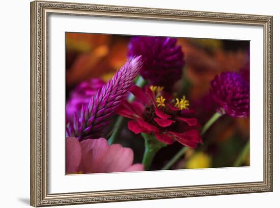 Bouquet of Colorful Flowers at a Farmers' Market, Savannah, Georgia, USA-Joanne Wells-Framed Photographic Print