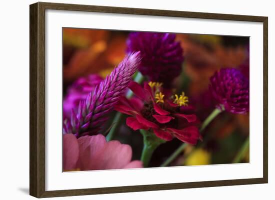 Bouquet of Colorful Flowers at a Farmers' Market, Savannah, Georgia, USA-Joanne Wells-Framed Photographic Print