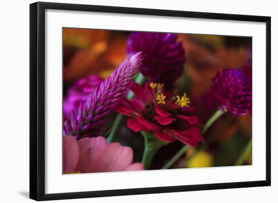 Bouquet of Colorful Flowers at a Farmers' Market, Savannah, Georgia, USA-Joanne Wells-Framed Photographic Print