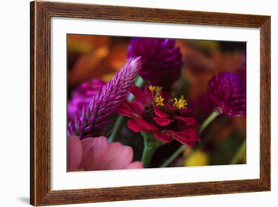 Bouquet of Colorful Flowers at a Farmers' Market, Savannah, Georgia, USA-Joanne Wells-Framed Photographic Print