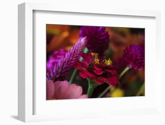 Bouquet of Colorful Flowers at a Farmers' Market, Savannah, Georgia, USA-Joanne Wells-Framed Photographic Print