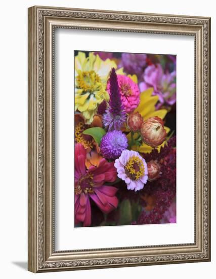 Bouquet of Colorful Flowers at a Farmers' Market, Savannah, Georgia, USA-Joanne Wells-Framed Photographic Print