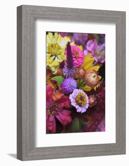 Bouquet of Colorful Flowers at a Farmers' Market, Savannah, Georgia, USA-Joanne Wells-Framed Photographic Print