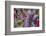 Bouquet of Colorful Flowers at a Farmers' Market, Savannah, Georgia, USA-Joanne Wells-Framed Photographic Print