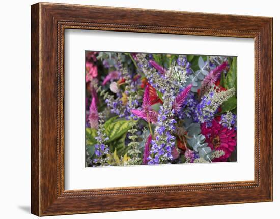 Bouquet of Colorful Flowers at a Farmers' Market, Savannah, Georgia, USA-Joanne Wells-Framed Photographic Print