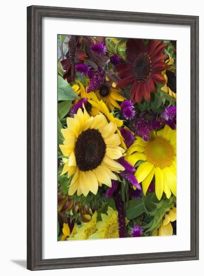 Bouquet of Colorful Sunflowers at Market, Savannah, Georgia, USA-Joanne Wells-Framed Photographic Print