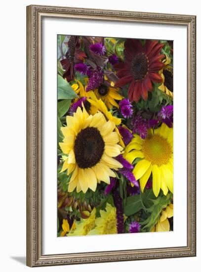 Bouquet of Colorful Sunflowers at Market, Savannah, Georgia, USA-Joanne Wells-Framed Photographic Print