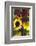 Bouquet of Colorful Sunflowers at Market, Savannah, Georgia, USA-Joanne Wells-Framed Photographic Print