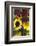 Bouquet of Colorful Sunflowers at Market, Savannah, Georgia, USA-Joanne Wells-Framed Photographic Print