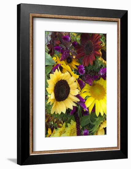 Bouquet of Colorful Sunflowers at Market, Savannah, Georgia, USA-Joanne Wells-Framed Photographic Print