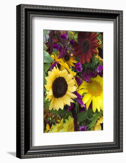 Bouquet of Colorful Sunflowers at Market, Savannah, Georgia, USA-Joanne Wells-Framed Photographic Print