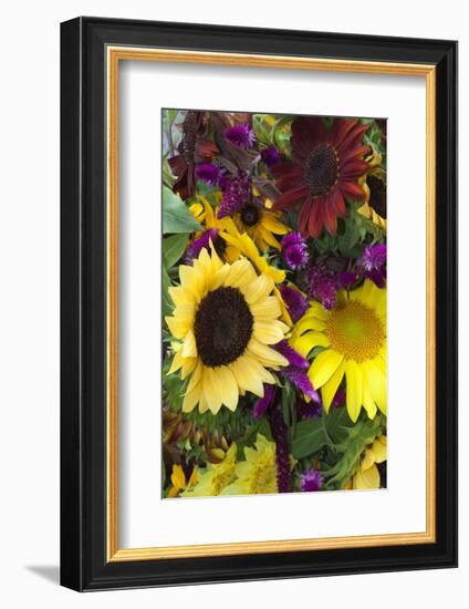 Bouquet of Colorful Sunflowers at Market, Savannah, Georgia, USA-Joanne Wells-Framed Photographic Print