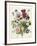 Bouquet of Flowers (1680)-null-Framed Art Print