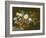 Bouquet of Flowers, 1863-Gustave Courbet-Framed Giclee Print