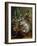 Bouquet of Flowers in a Vase. 1862-Gustave Courbet-Framed Giclee Print