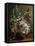 Bouquet of Flowers in a Vase. 1862-Gustave Courbet-Framed Premier Image Canvas