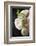 Bouquet of Flowers-manera-Framed Photographic Print