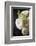 Bouquet of Flowers-manera-Framed Photographic Print