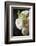 Bouquet of Flowers-manera-Framed Photographic Print