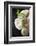 Bouquet of Flowers-manera-Framed Photographic Print