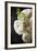 Bouquet of Flowers-manera-Framed Photographic Print