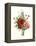 Bouquet of Foxglove, Poppy and Peonie-Jean Louis Prevost-Framed Premier Image Canvas