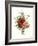 Bouquet of Foxglove, Poppy and Peonie-Jean Louis Prevost-Framed Giclee Print