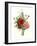 Bouquet of Foxglove, Poppy and Peonie-Jean Louis Prevost-Framed Giclee Print