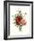 Bouquet of Foxglove, Poppy and Peonie-Jean Louis Prevost-Framed Giclee Print