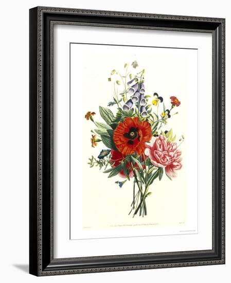 Bouquet of Foxglove, Poppy and Peonie-Jean Louis Prevost-Framed Giclee Print