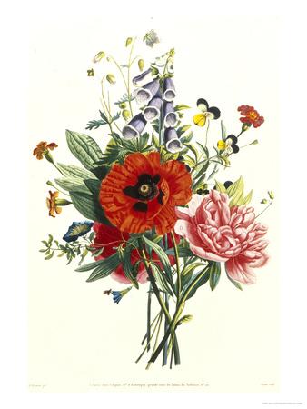 https://imgc.artprintimages.com/img/print/bouquet-of-foxglove-poppy-and-peonie_u-l-p234ib0.jpg?artHeight=350&artPerspective=n&artWidth=550&background=fbfbfb