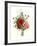 Bouquet of Foxglove, Poppy and Peonie-Jean Louis Prevost-Framed Giclee Print