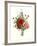 Bouquet of Foxglove, Poppy and Peonie-Jean Louis Prevost-Framed Giclee Print