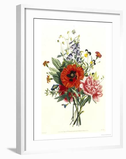 Bouquet of Foxglove, Poppy and Peonie-Jean Louis Prevost-Framed Giclee Print