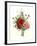 Bouquet of Foxglove, Poppy and Peonie-Jean Louis Prevost-Framed Giclee Print