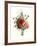 Bouquet of Foxglove, Poppy and Peonie-Jean Louis Prevost-Framed Giclee Print