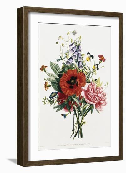 Bouquet of Foxglove, Poppy, and Peony-Jean Louis Prevost-Framed Giclee Print